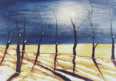 Moon Shadow