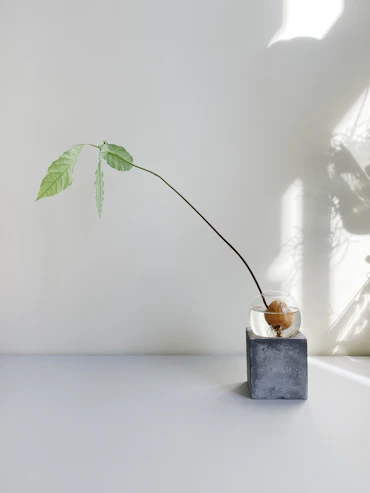 Untitled (sack)