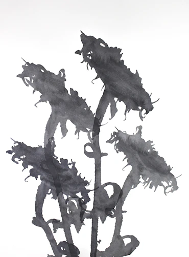 One sunflower and four lights
