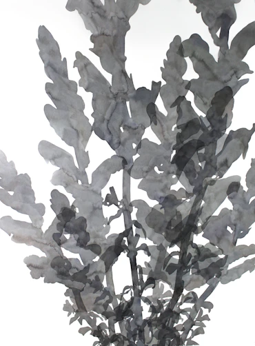 One plant and eight lights