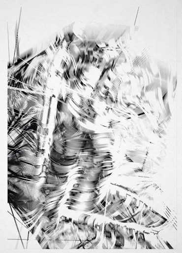 Work No.145: Yamabushitake