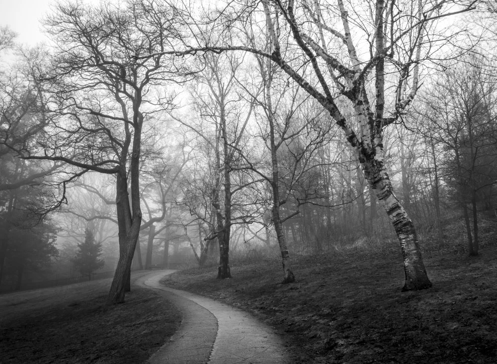 Pathway in High Park 