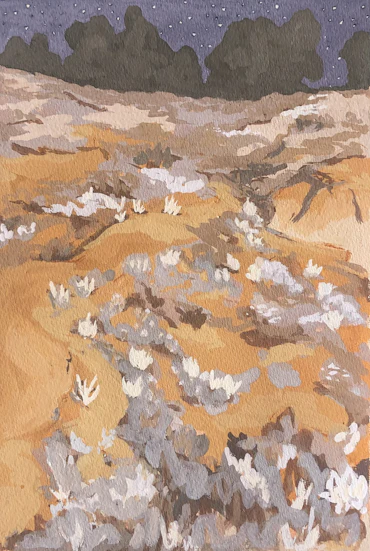 Arid night garden