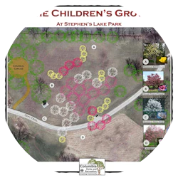 Children's Grove
