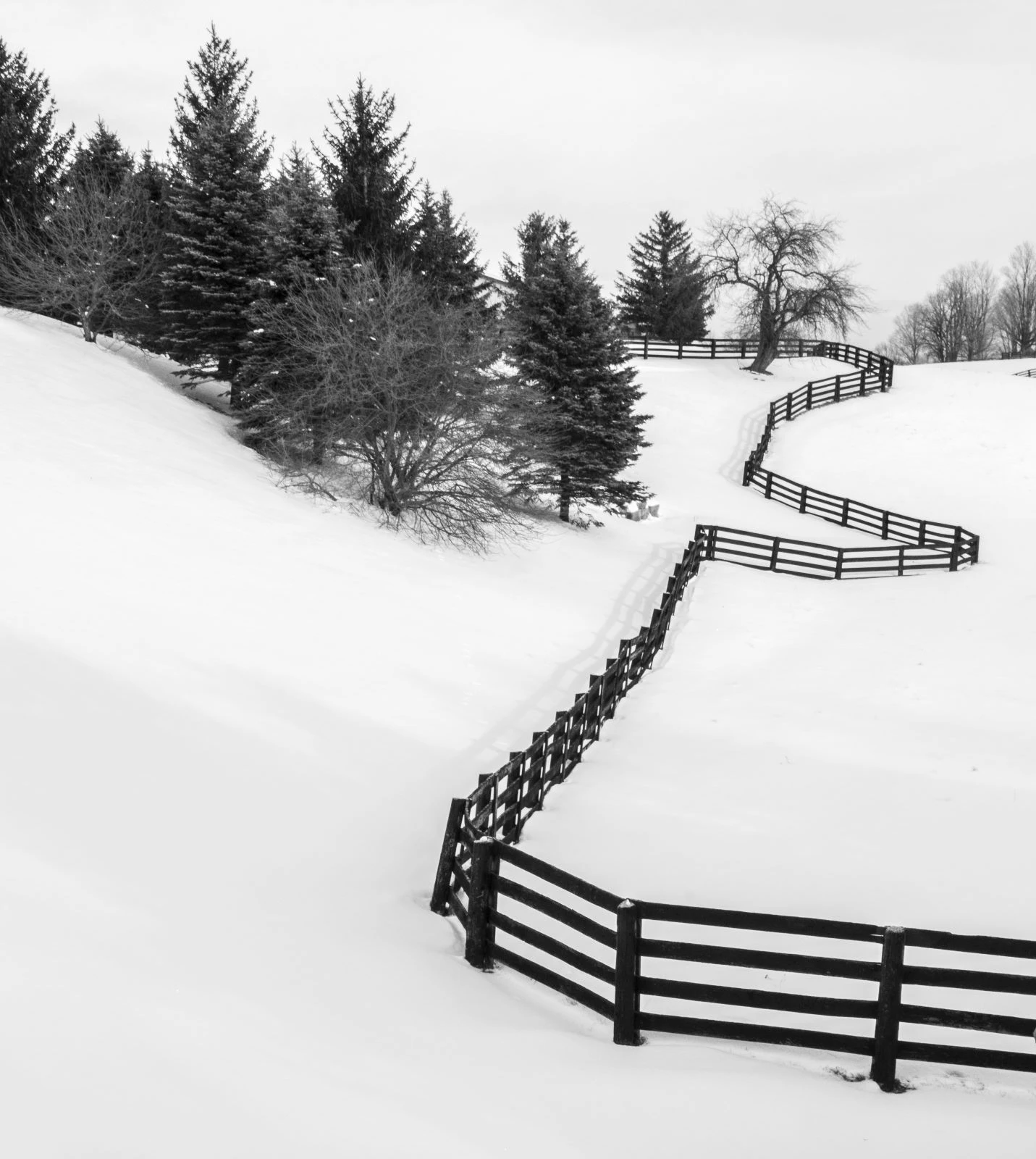 Winding fence, Nobleton, Ontario 