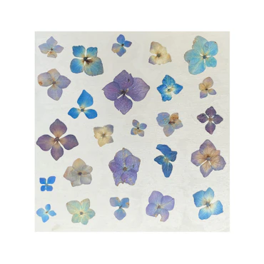 Wildflower Collage