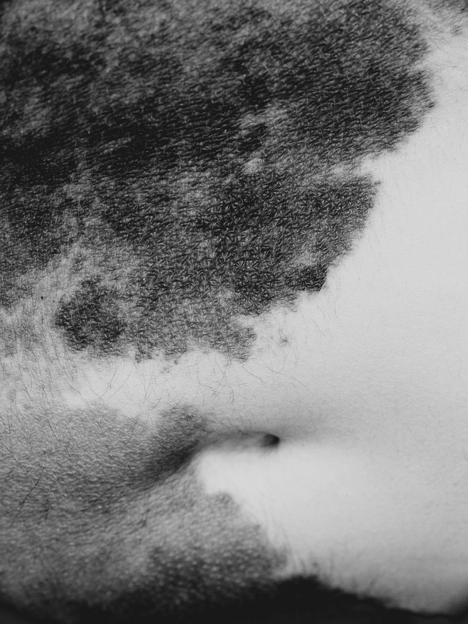 BODY II by Gordon Schirmer...