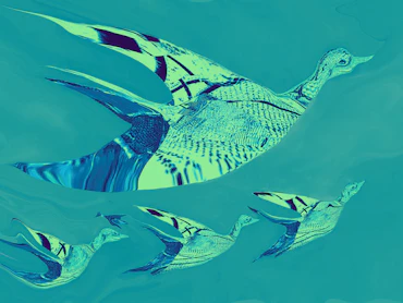Flock of Hope