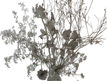 A bunch of flowers and one light /ver.1