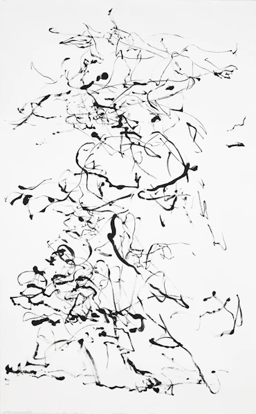 tracing back the flow