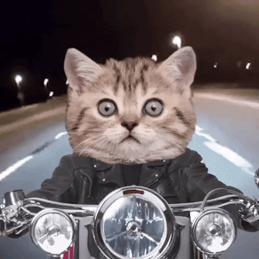 test gif