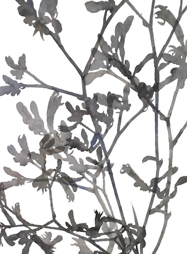 Branches and two lights
