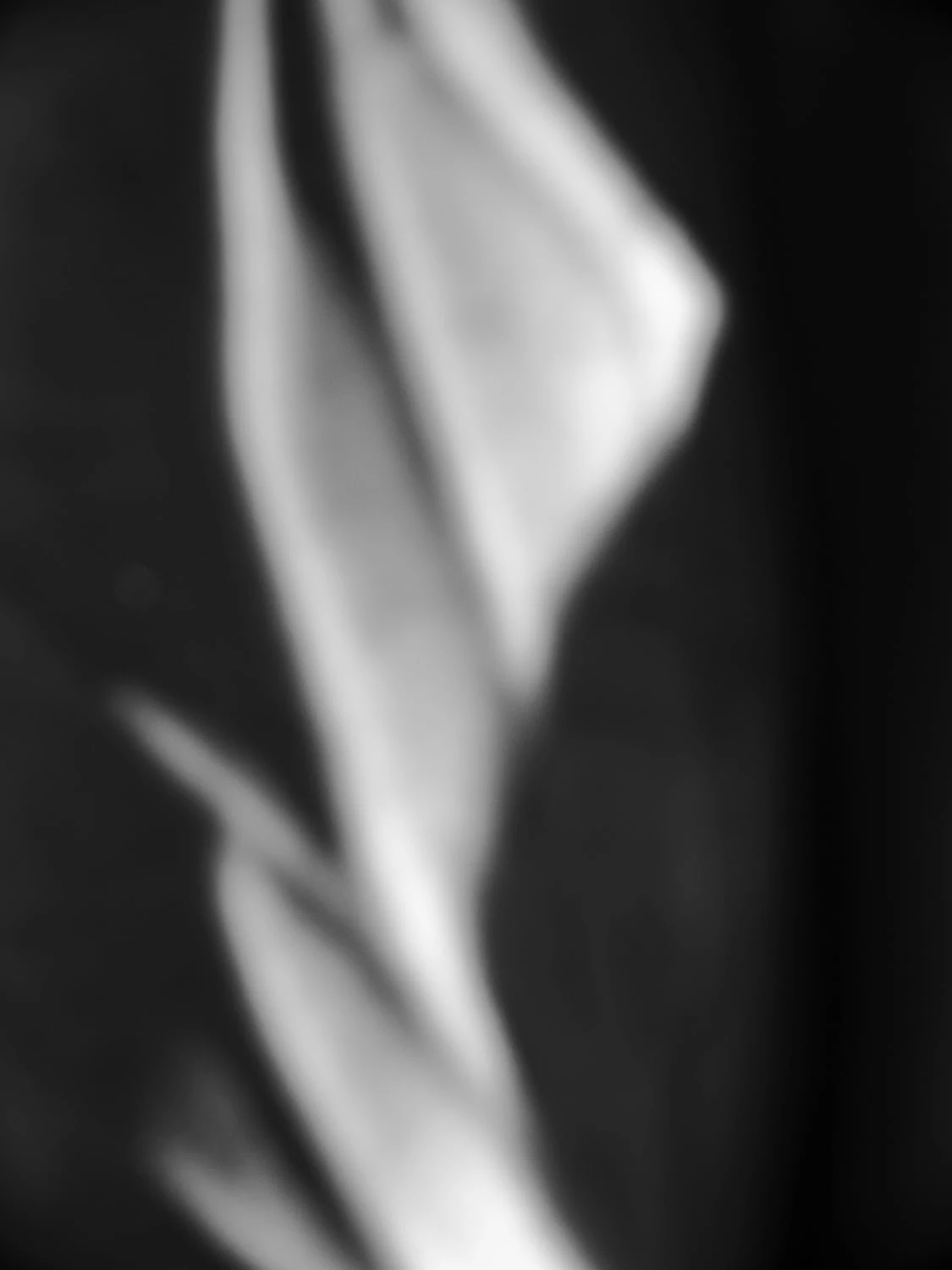 BODY II by Gordon Schirmer...
