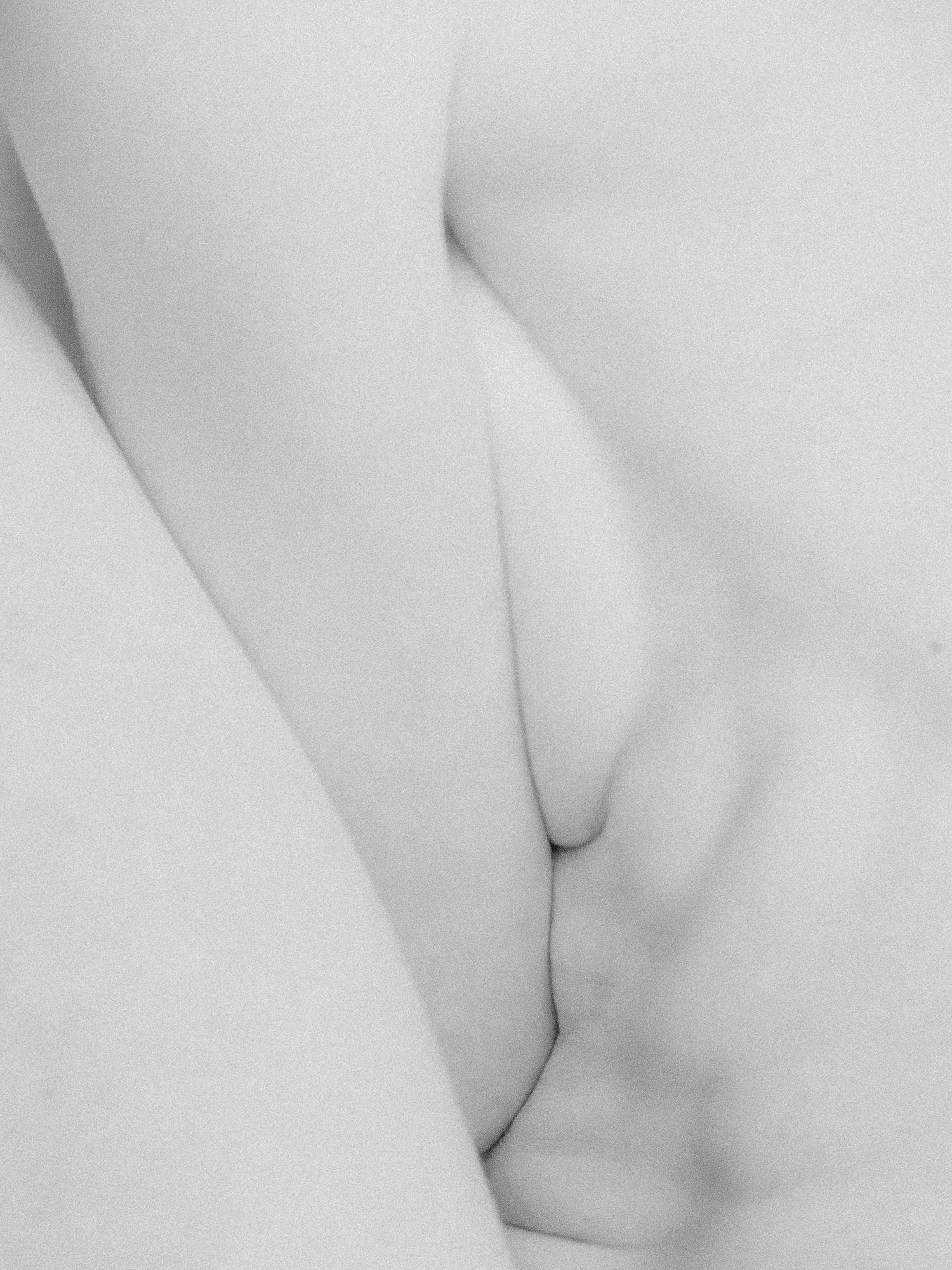 BODY II by Gordon Schirmer...