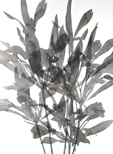 A flower and five lights