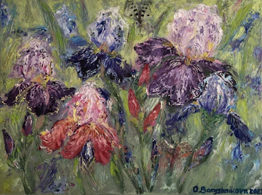 Iris