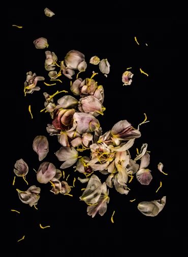 FADING BEAUTY