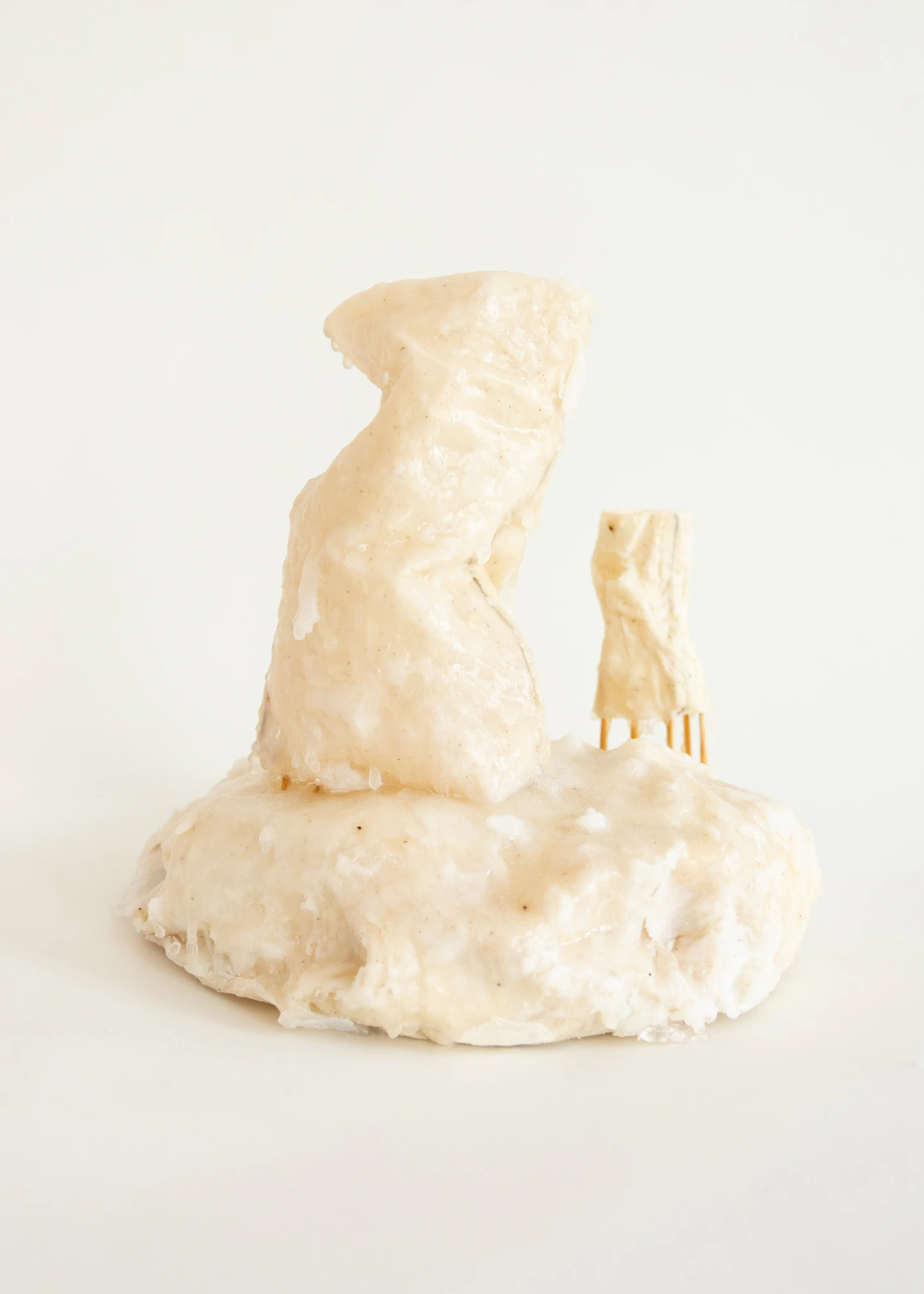 Habitat for a Desert Dweller V by Nicoline Franziska...