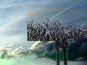 gras08