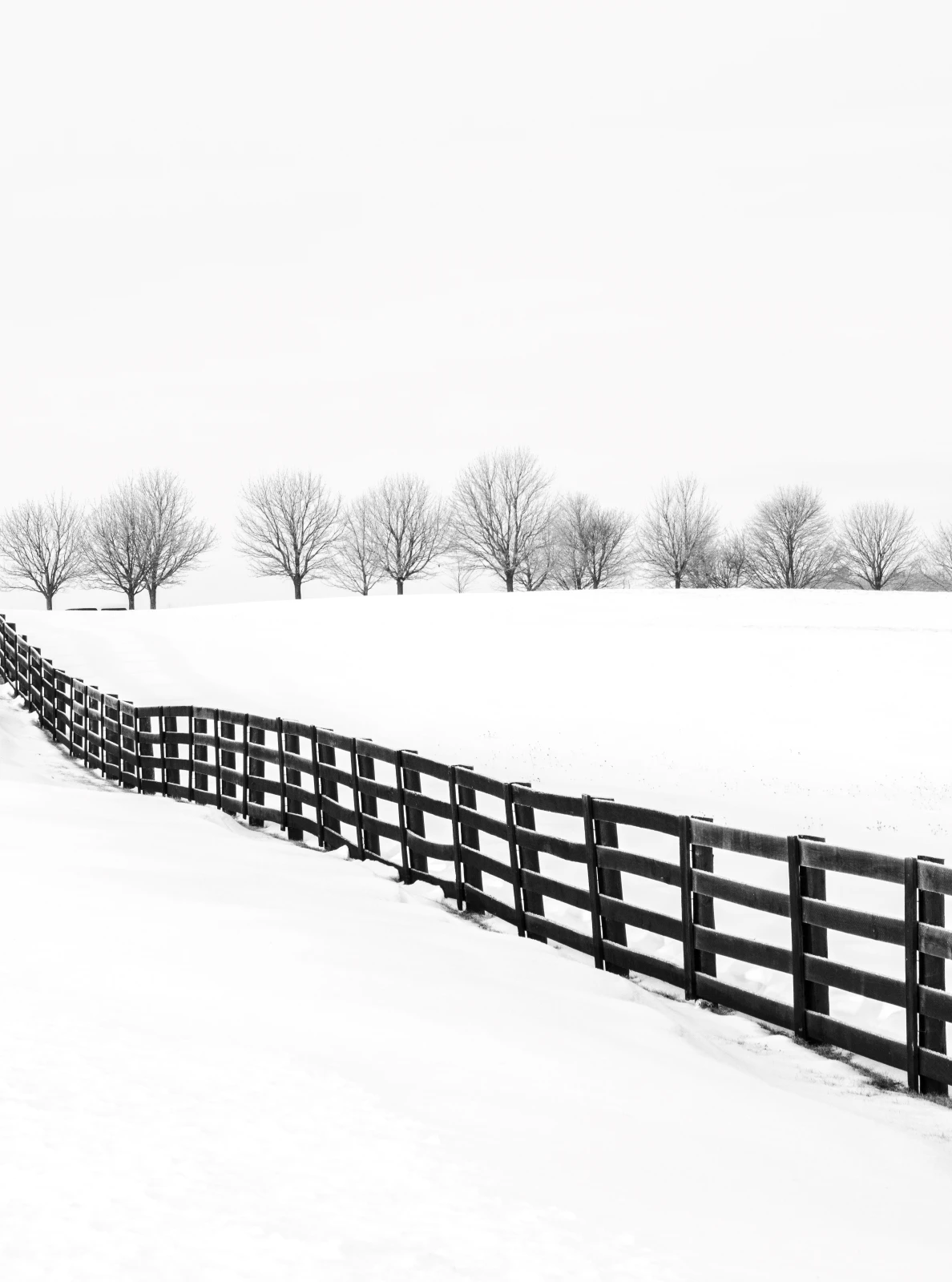 Fence and Trees in Winter, Nobleton, Ontario 