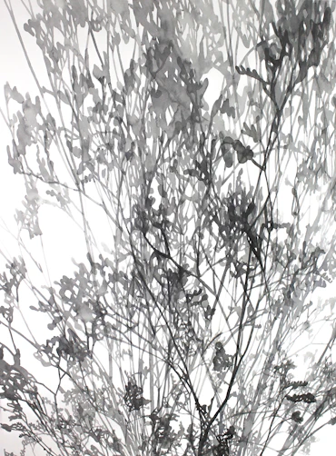 Common gypsophila and three lights