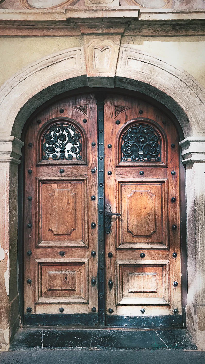 Rustic Door