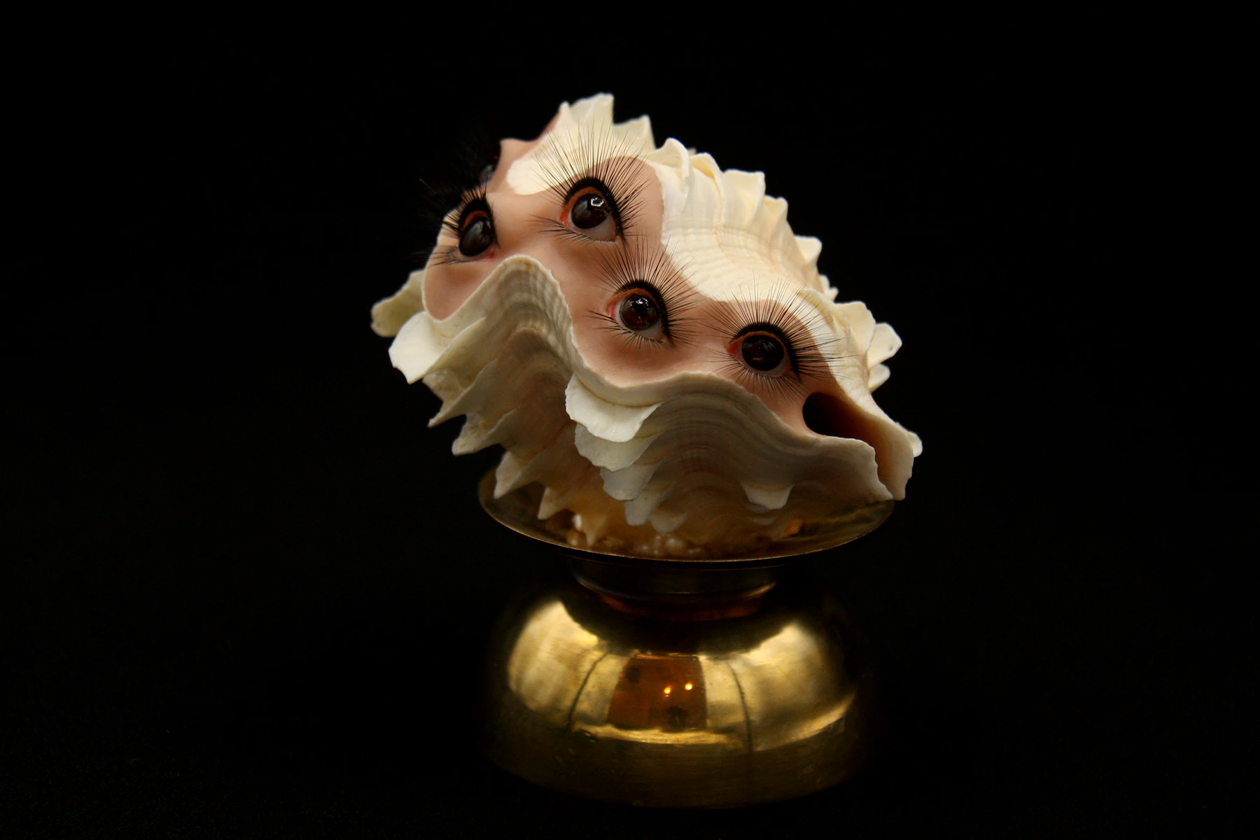 Fluted Clam by Kelley Benes...