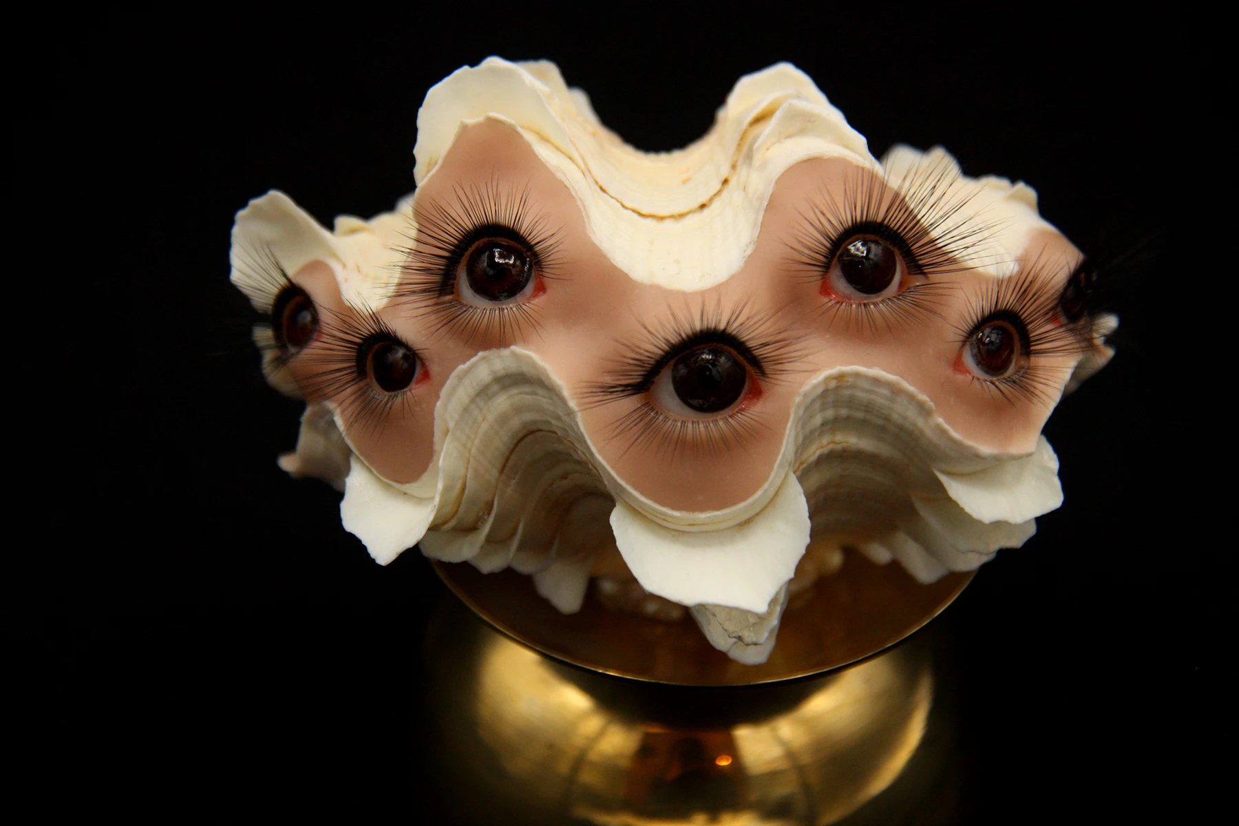 Fluted Clam by Kelley Benes...