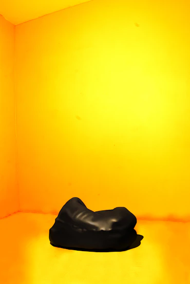 Porcelain Disposition I