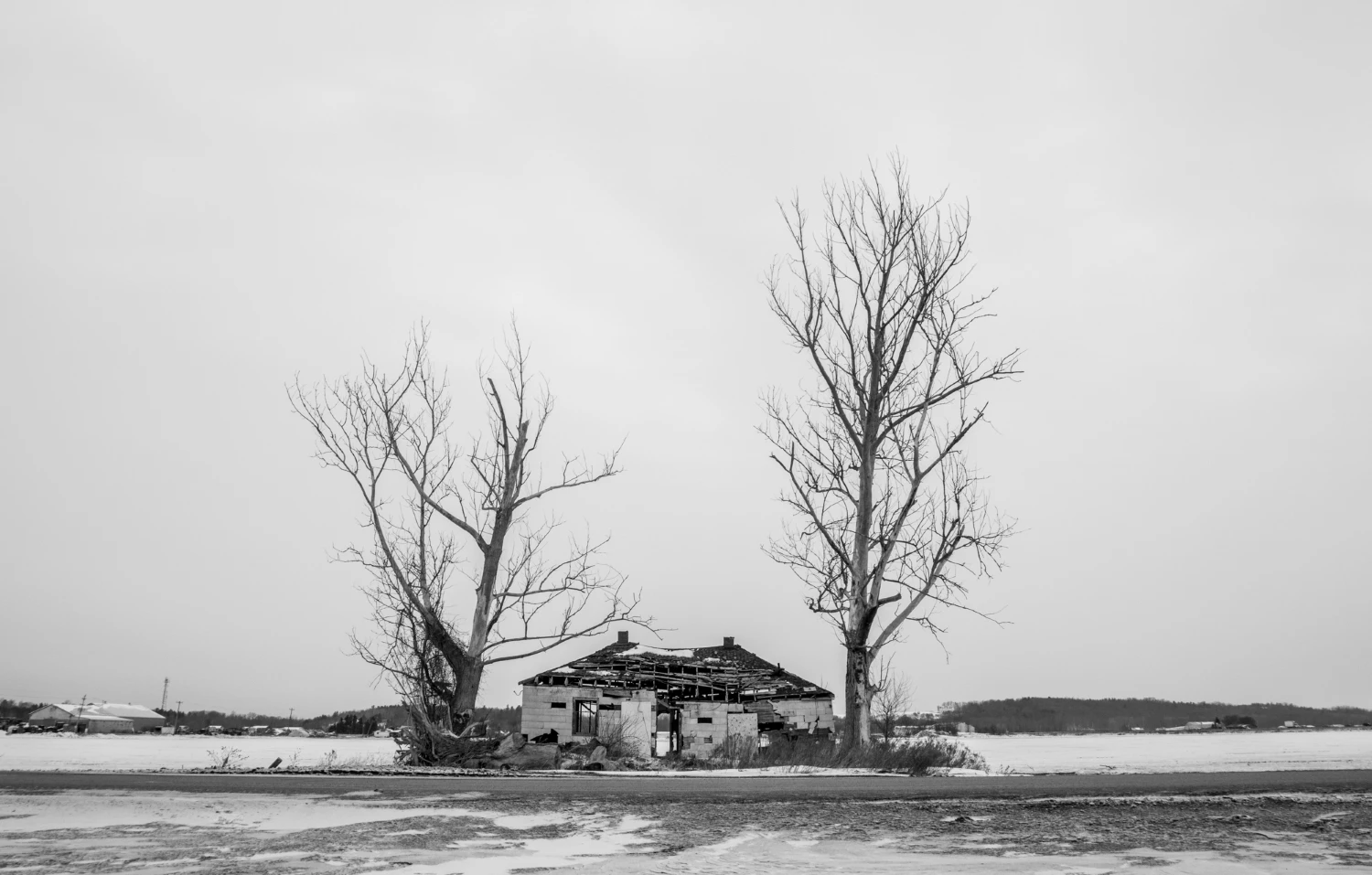 Abandoned Cabin, Holland Marsh