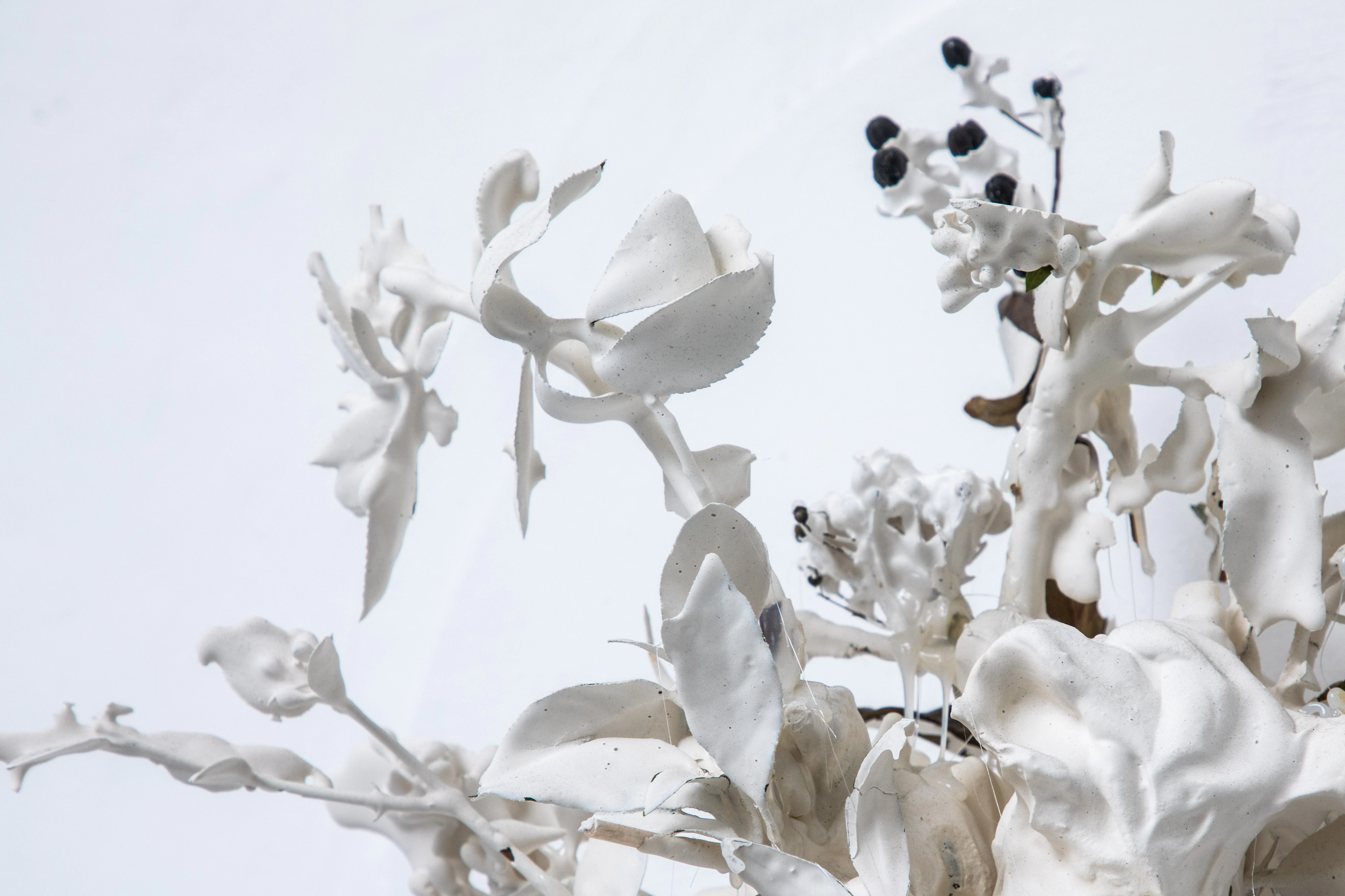 Ascension / Arboralis Mundi  by Luisa-Maria MacCormack...