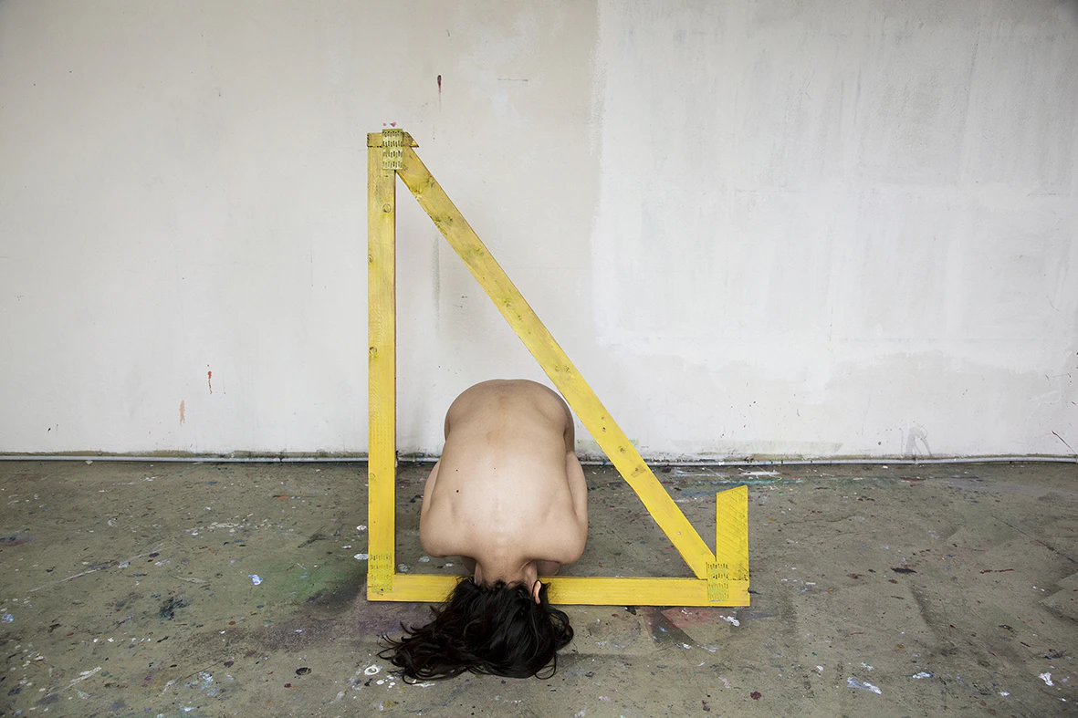 The Intimacy of a Strange Being by Silvia Gentili...