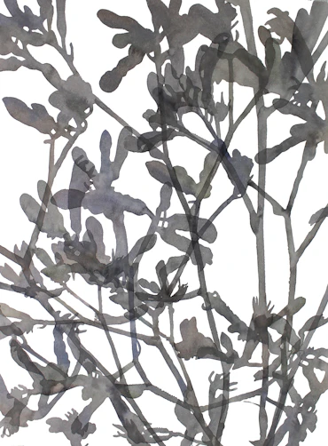 Branches and three lights