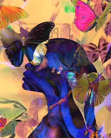 The Butterfly Effect