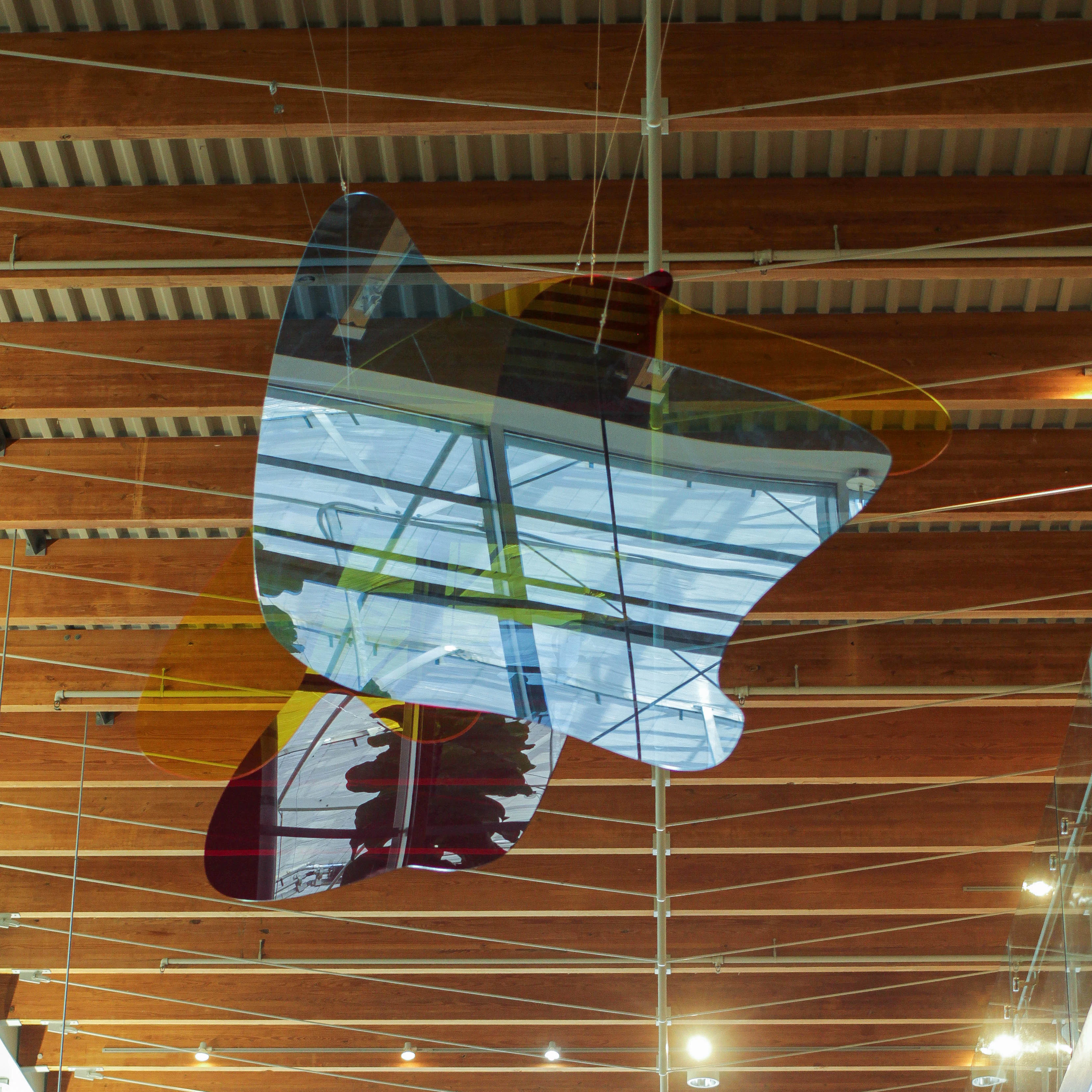 Suspended Disbelief by David Vosburg...