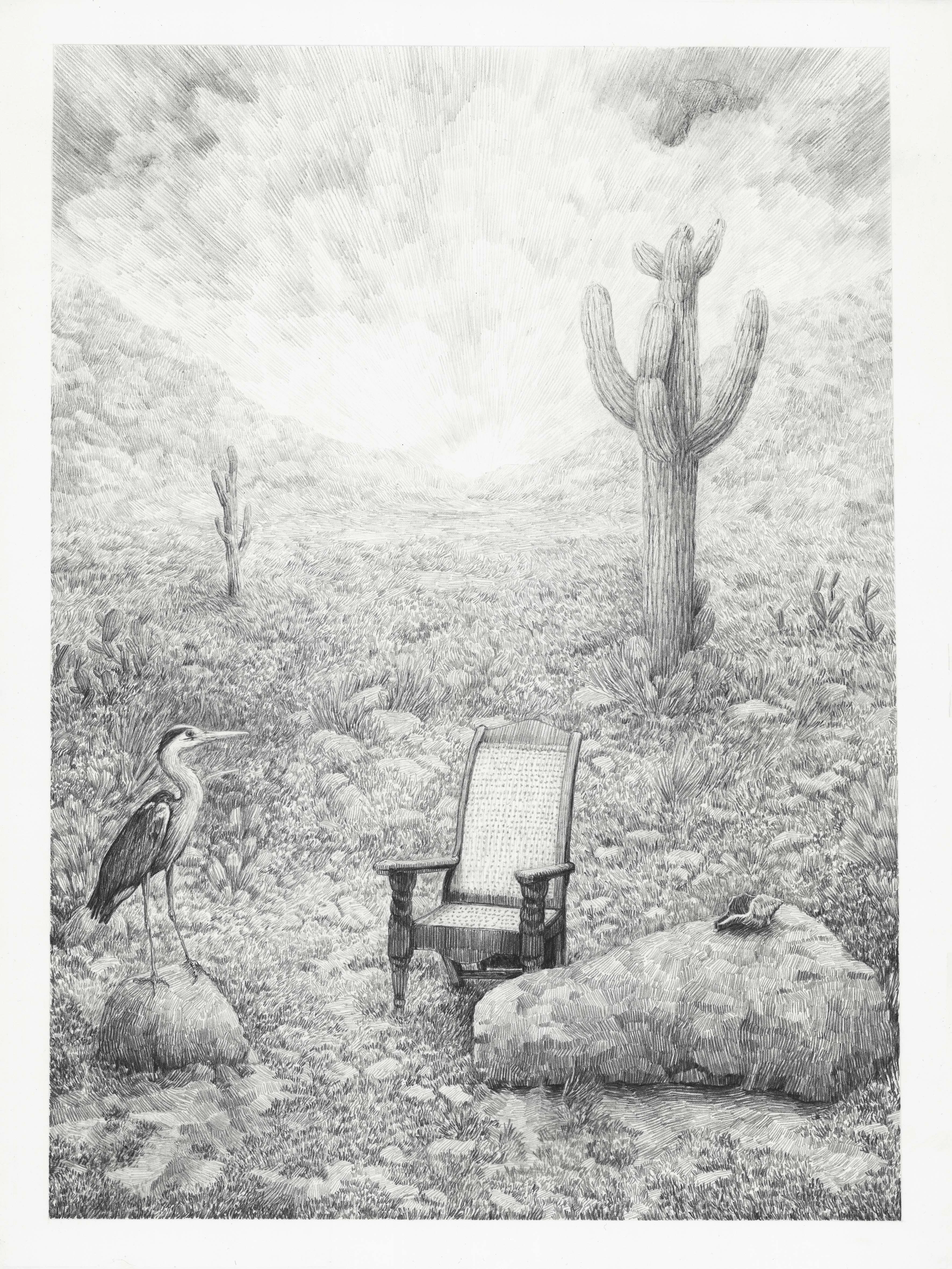 Desert sunset, an egret, a chair and shell.