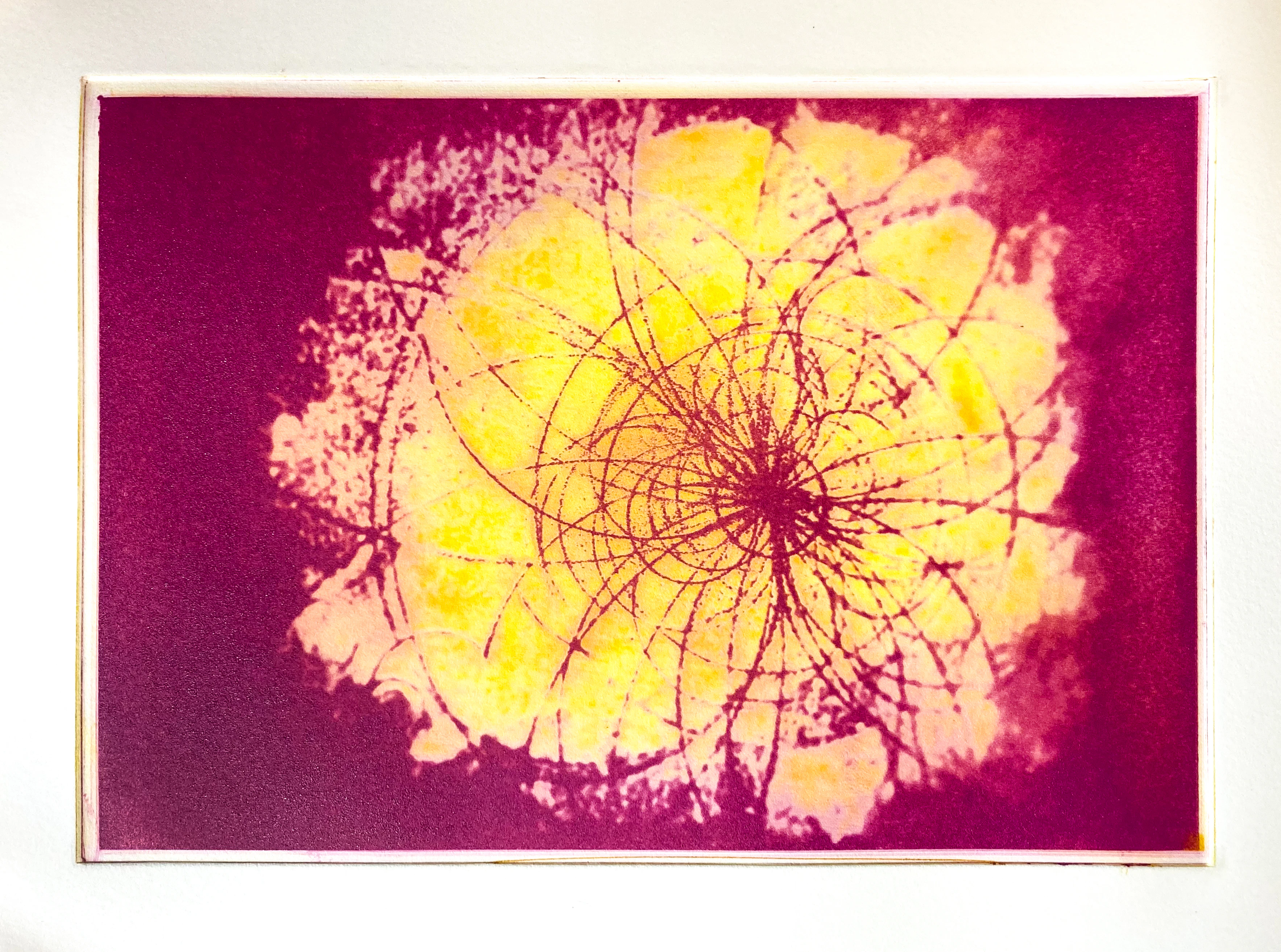 Inertial Resistance in Red and Yellow