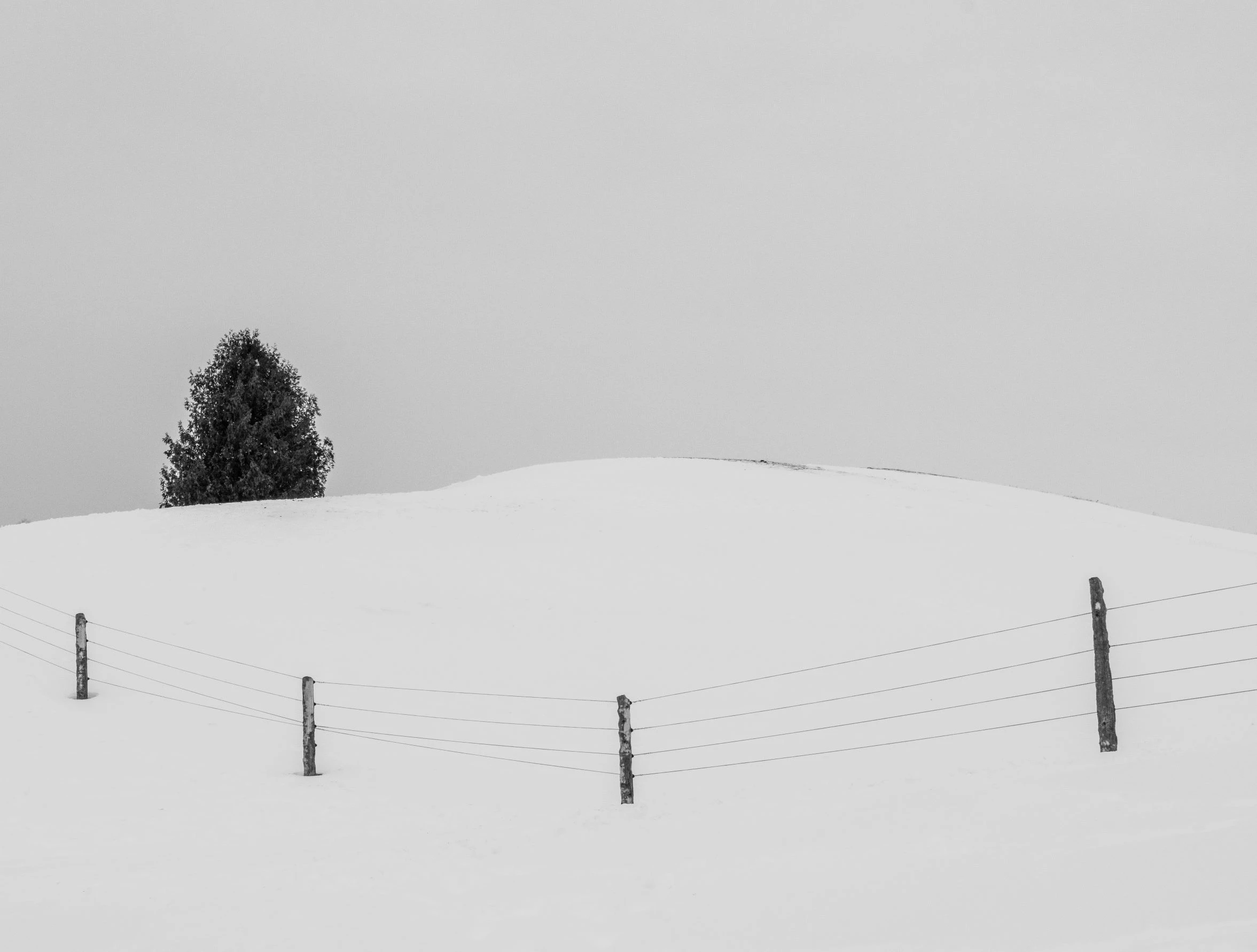 Farm fence, Schomberg, Ontario 