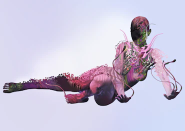 Digital Venus