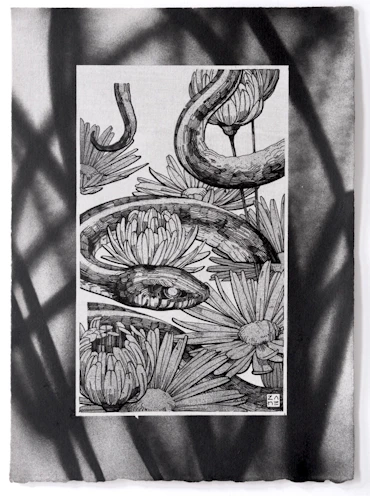 Serpentine