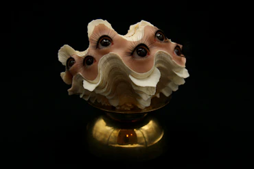 Fluted Clam