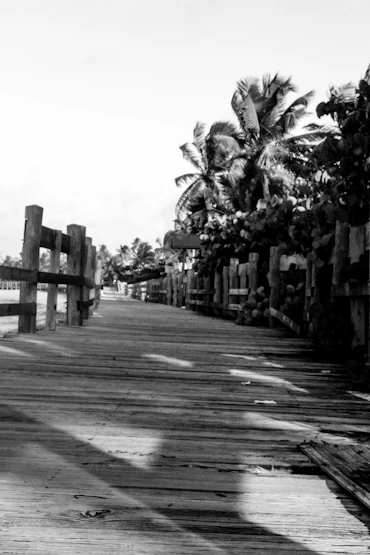 Walkway to Paradise