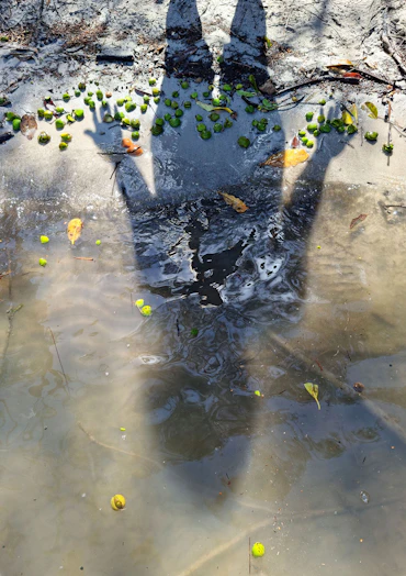 The Tangible Landscape of Memory