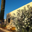 Damsite Historic District