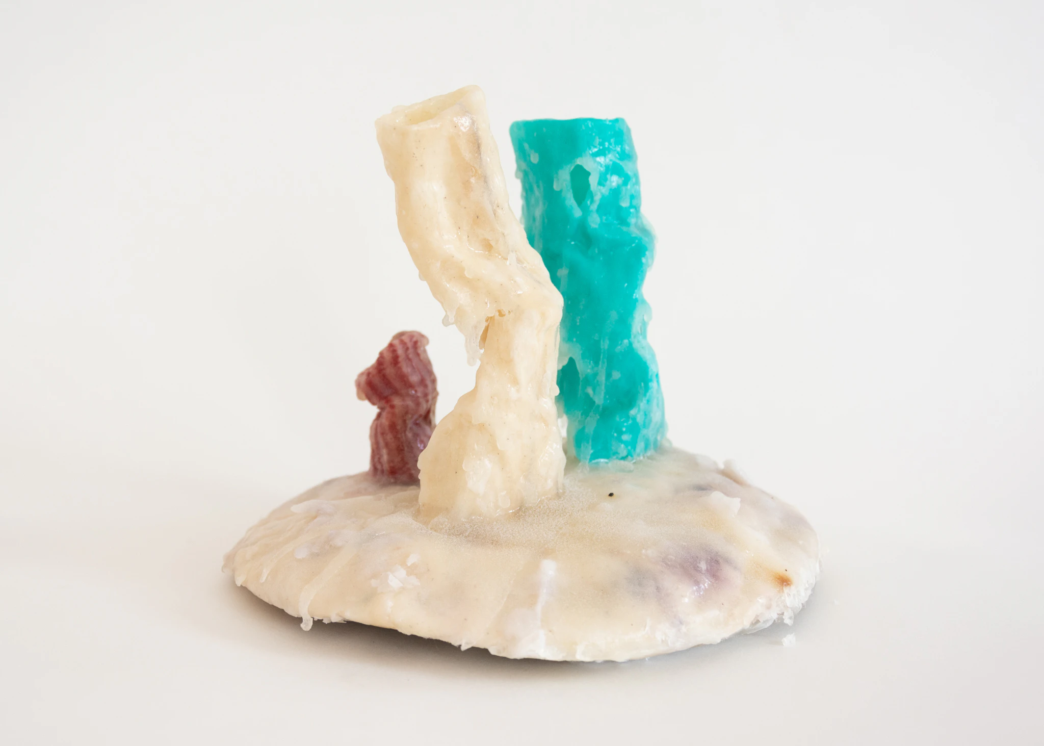 Habitat for a Desert Dweller III by Nicoline Franziska...