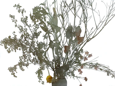 A bunch of flowers and one light/ver.2