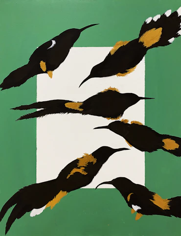 Now Extinct OO birds in Hawaiian Islands