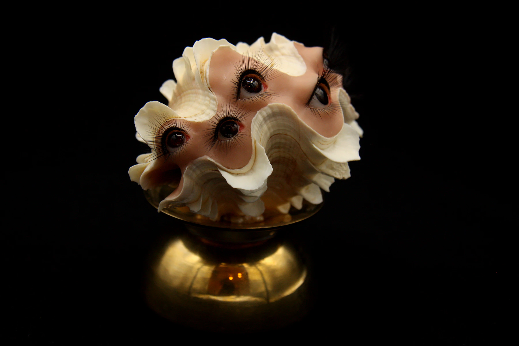 Fluted Clam by Kelley Benes...