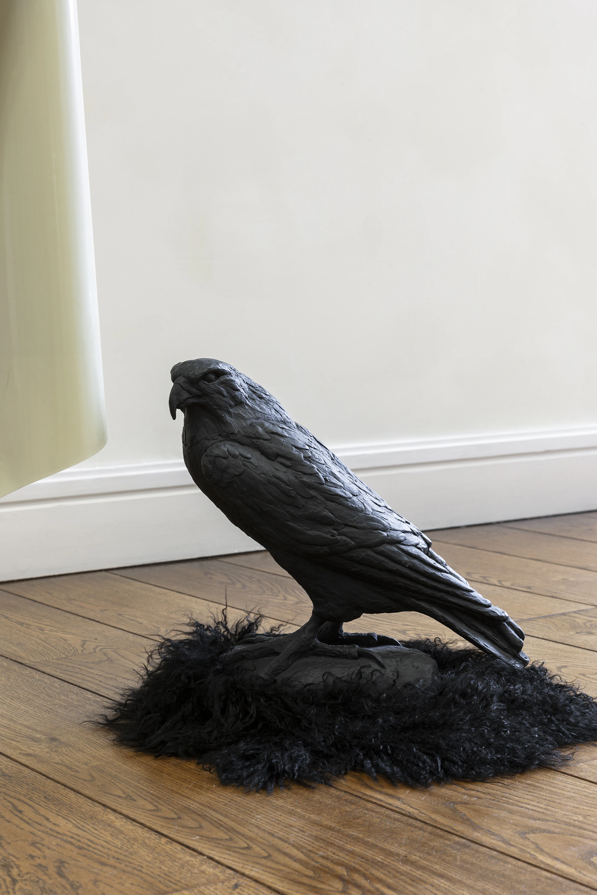 Bitch Falcon- APPARATUS  by Cecilia Bullo...