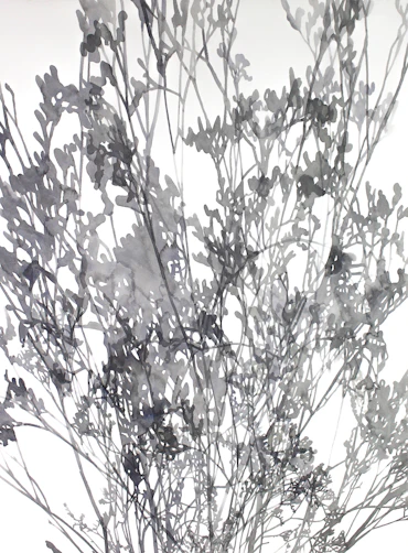 Common gypsophila and two lights